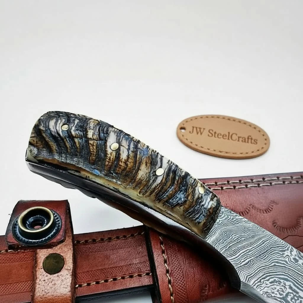 6 Inch Damascus Steel Skinner Knife with Ram Horn Handle and Leather Sheath handmade Skinner Knife by JW SteelCrafts