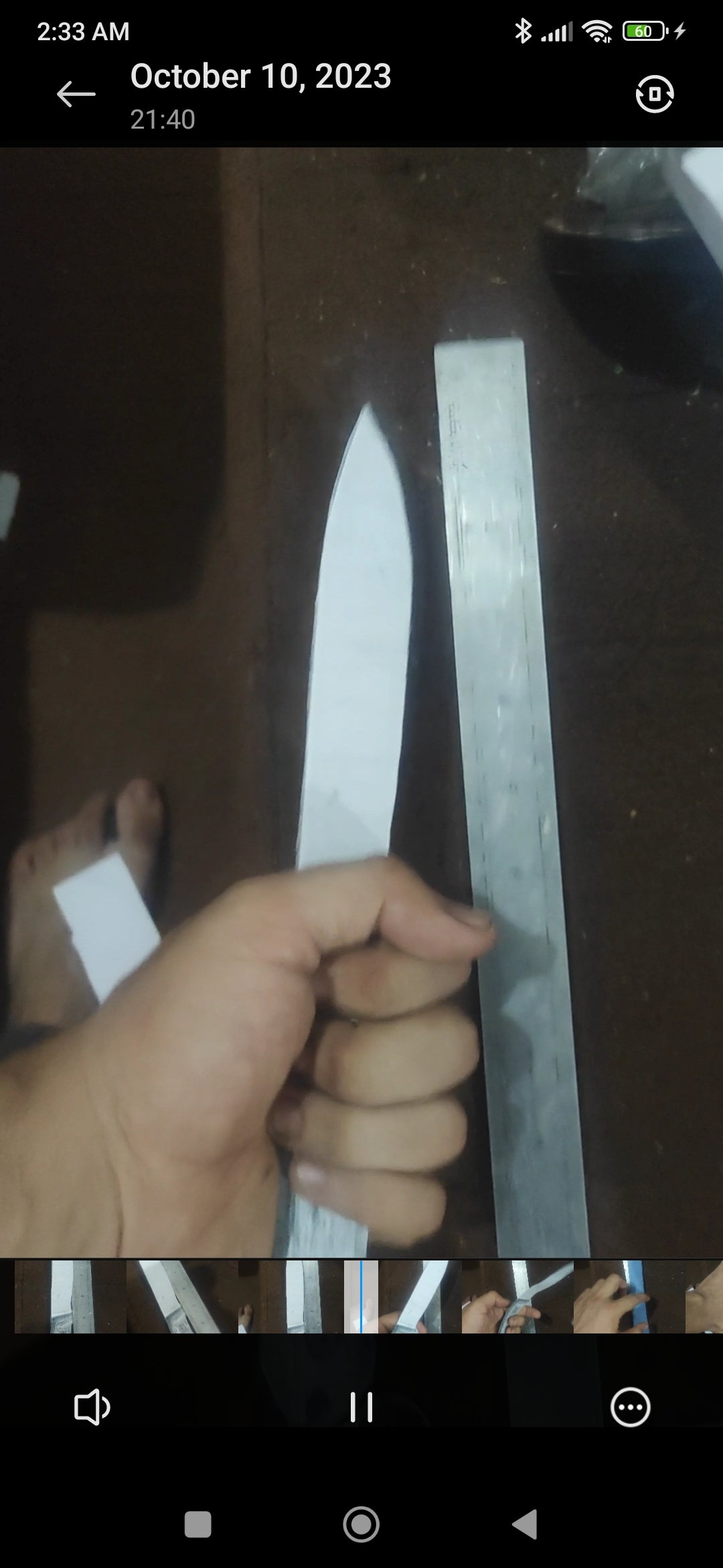 Fixed blade sample