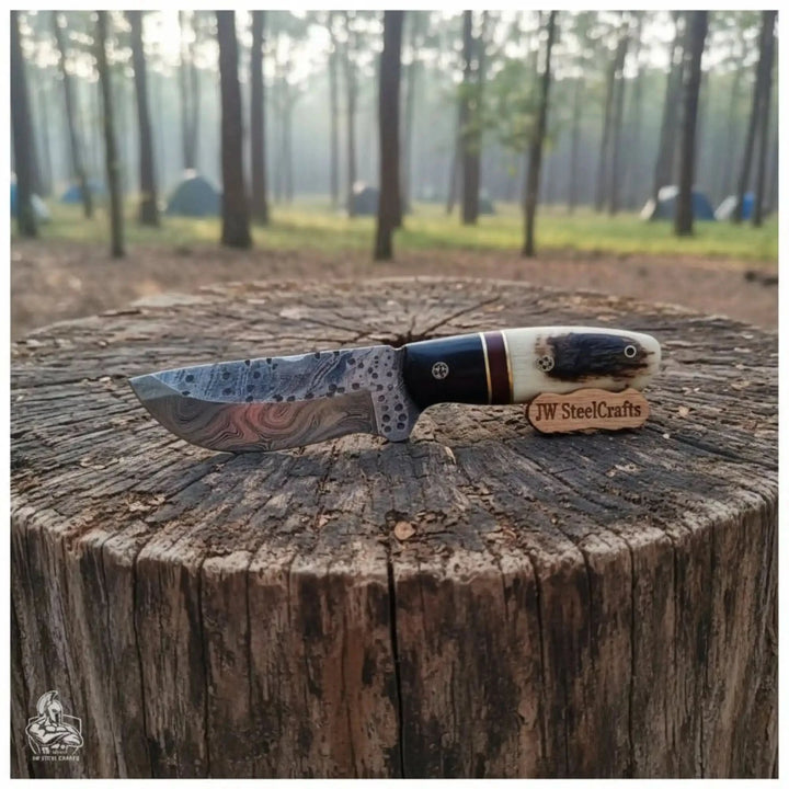 Forest stump hunting knife with stag handle, black bolster, hammered patterned blade, and rustic outdoor presentation.