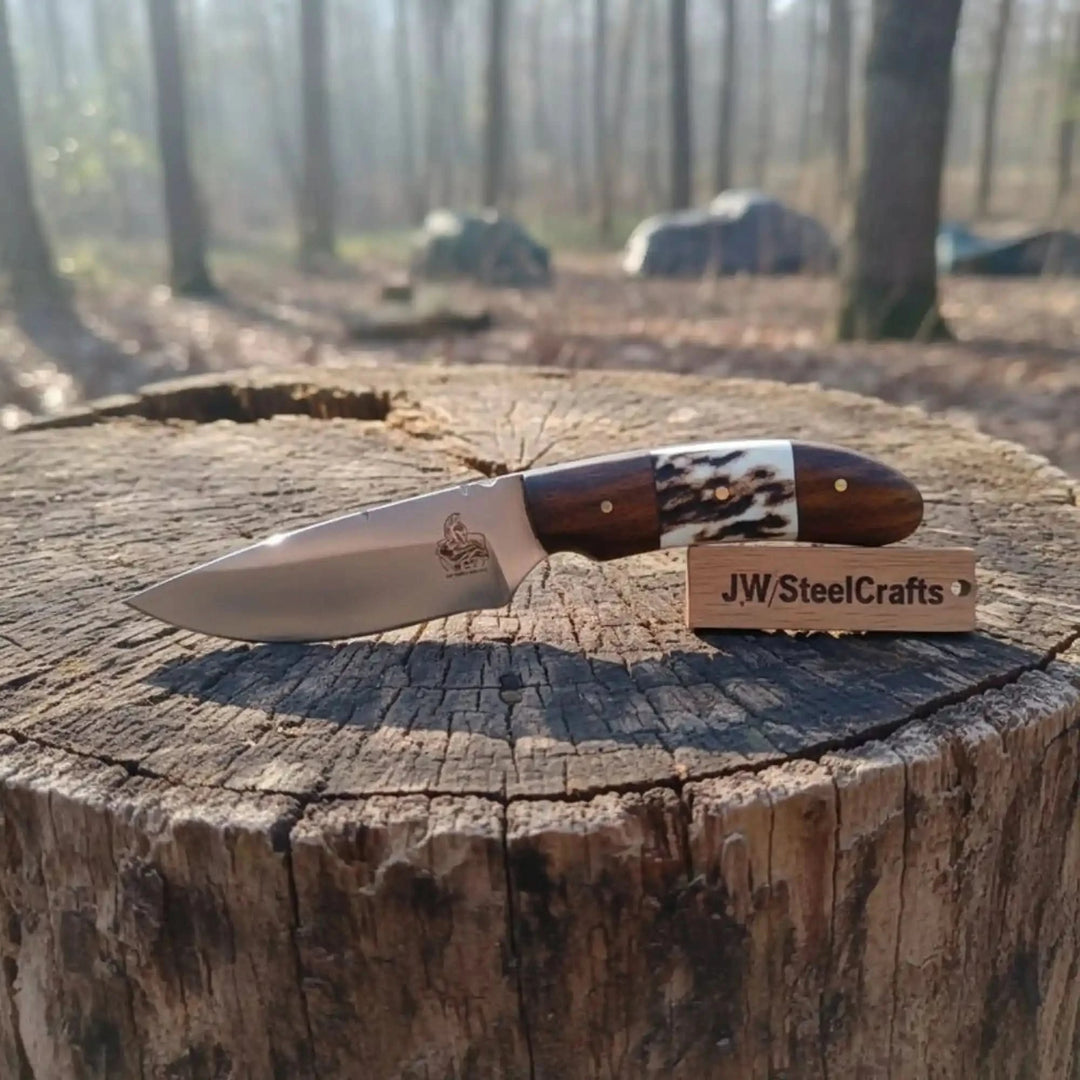 Wood stag handle fixed blade by JW SteelCrafts with compact polished blade, brass pins, and forest tree stump display.