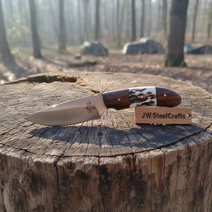 Wood stag handle fixed blade by JW SteelCrafts with compact polished blade, brass pins, and forest tree stump display.