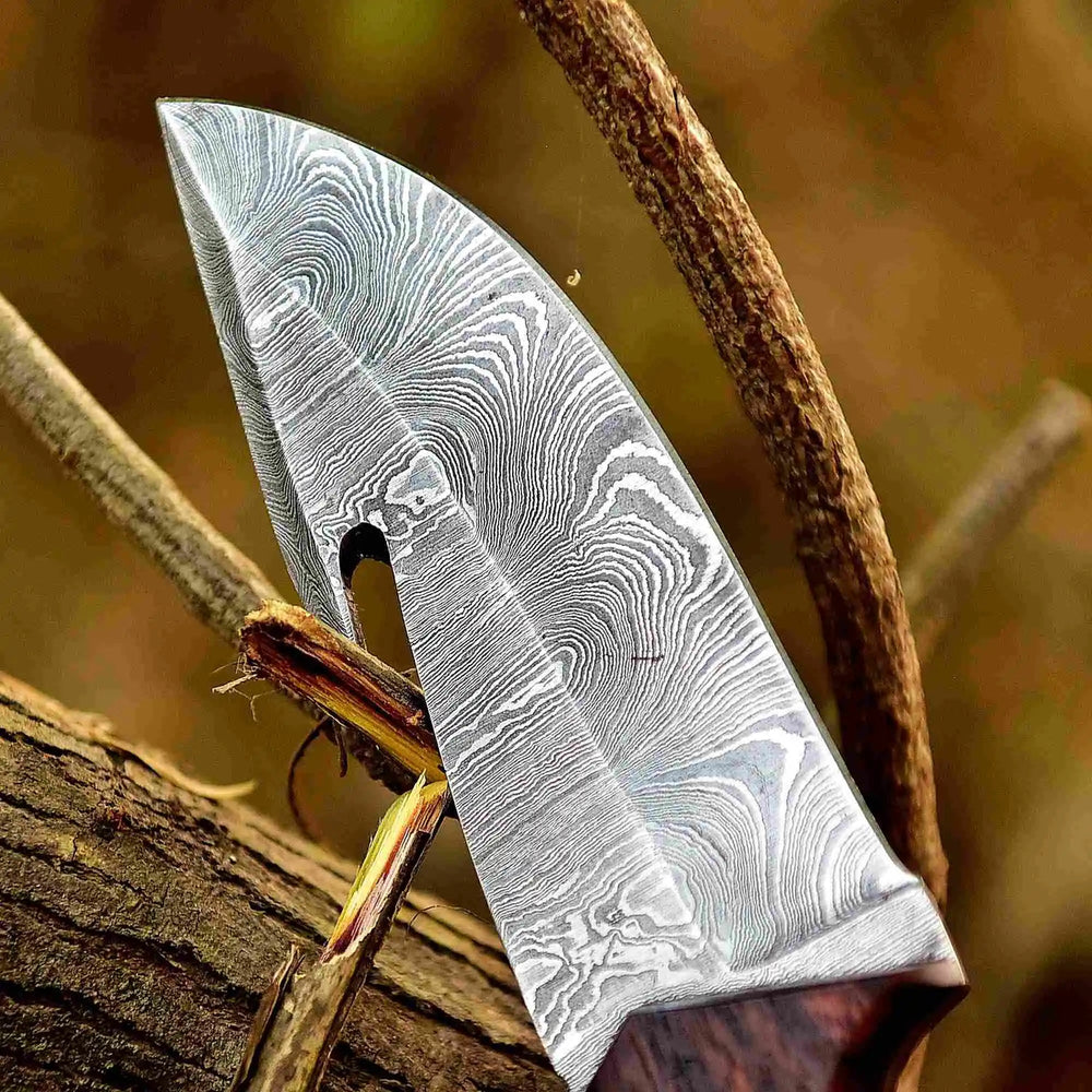 Traditional hunting knife with Damascus gut hook blade, wood grip, bone cap, and turquoise decorative spacer.