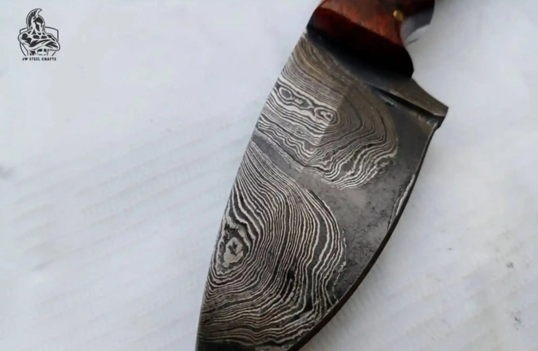 Small Damascus hunting knife with wood handle, tan sheath, white handle pins, and outdoor forest background.