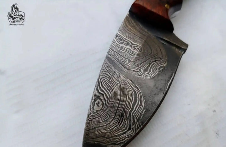 Small Damascus hunting knife with wood handle, tan sheath, white handle pins, and outdoor forest background.