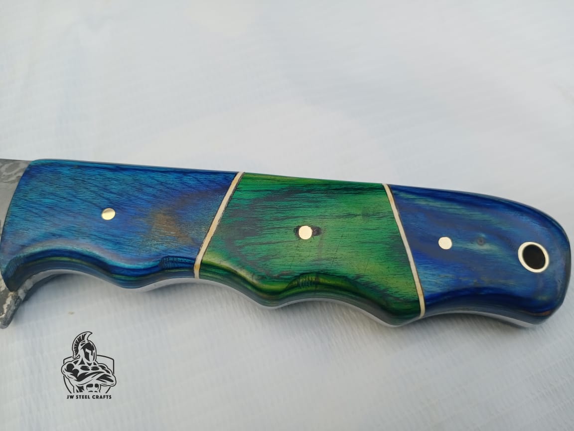 Hand Made Fillet knife with color wood handle.