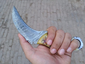 Handmade Custom Du Hoc Karambit Knife.