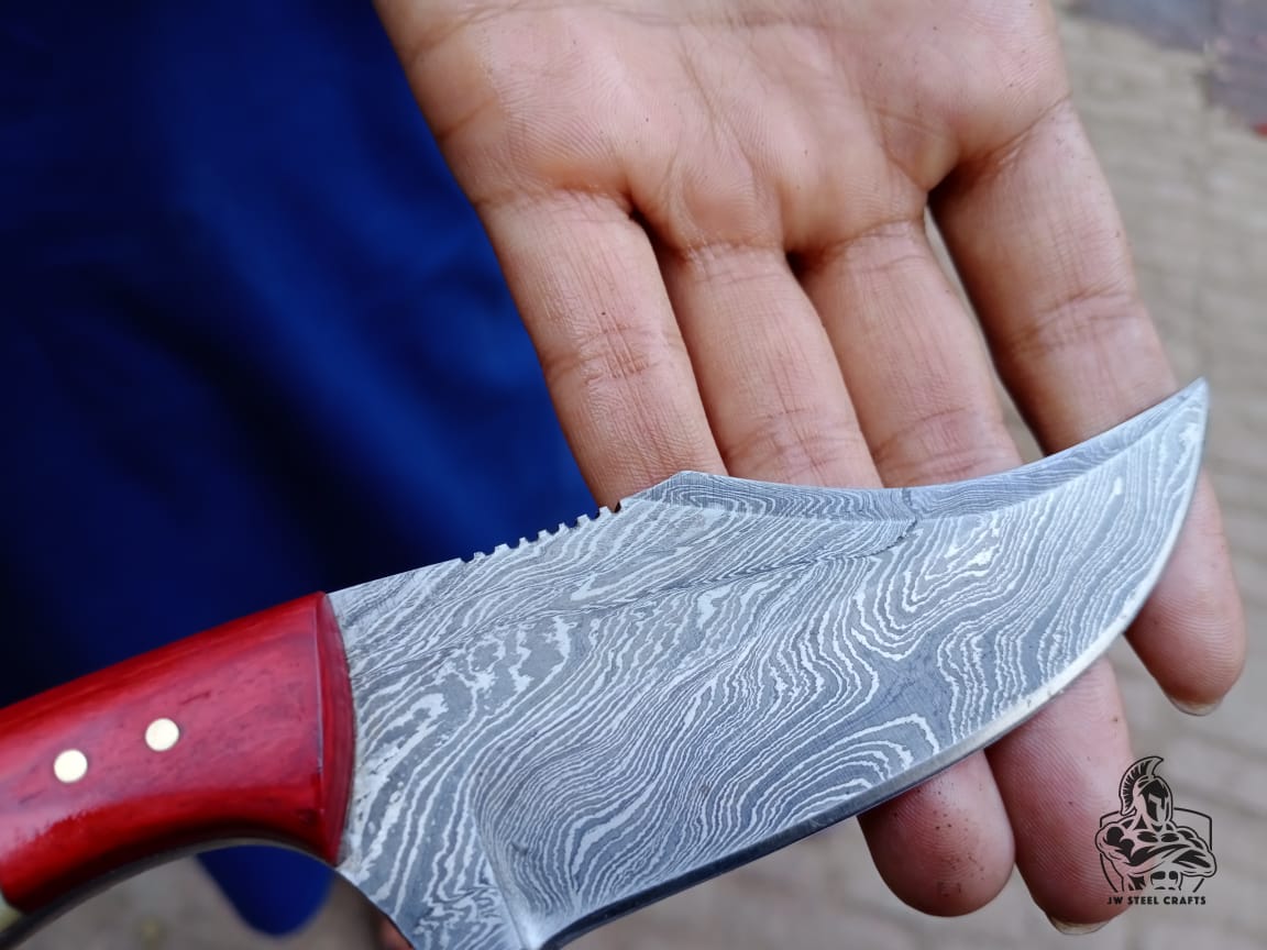 Skinner Knife with Bone and Color Wood Handle