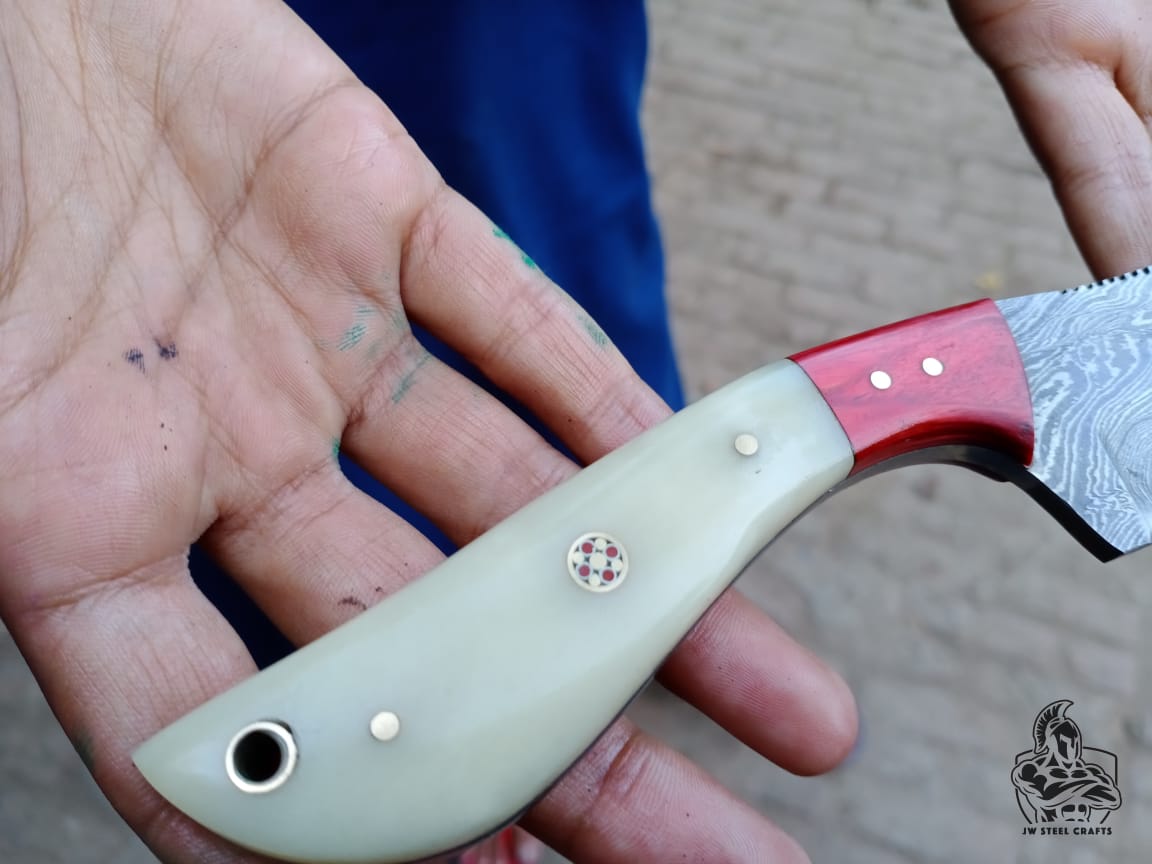 Skinner Knife with Bone and Color Wood Handle