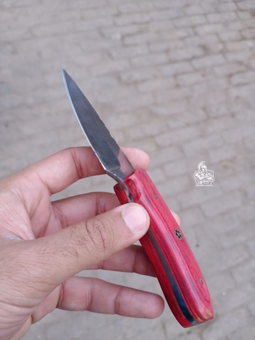 Handmade skinner knife with colour wood handle.