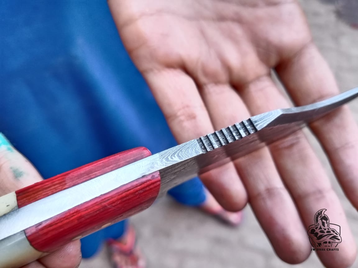 Skinner Knife with Bone and Color Wood Handle