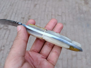 Handmade Custom Du Hoc Karambit Knife.