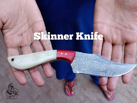 Damascus Skinner Knife Bone Red Pakka 6” Overall